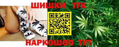 спиды Обь