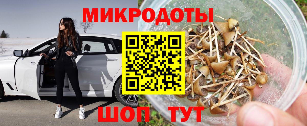 Псилоцибиновые грибы MAGIC MUSHROOMS Родники