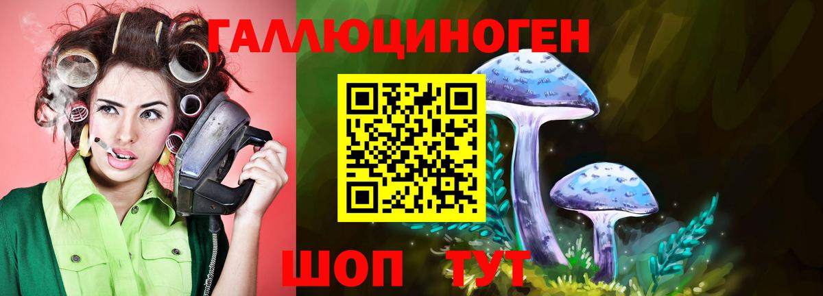 Галлюциногенные грибы GOLDEN TEACHER  Вход с VPN  Родники  Псилоцибиновые грибы ЛСД 